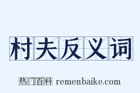 村夫反义词是什么意思的图片